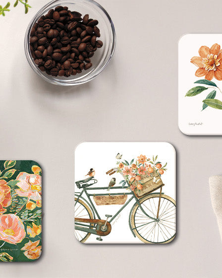 All Coasters