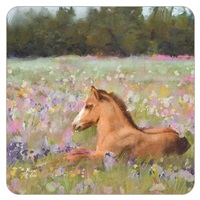 Springtime Foal