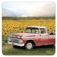 Sunflower Field & Red Truck