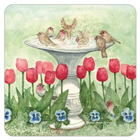 Bird Bath