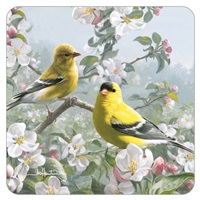 Goldfinch Couple