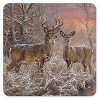 Deer in the Snow