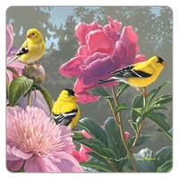 Goldfinch & Peonies