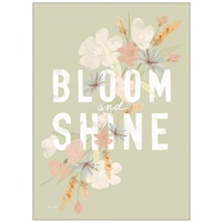 Bloom & Shine