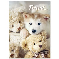 Pup With Teddies