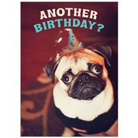 Pug Birthday