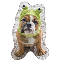 Frog Hat Boxer