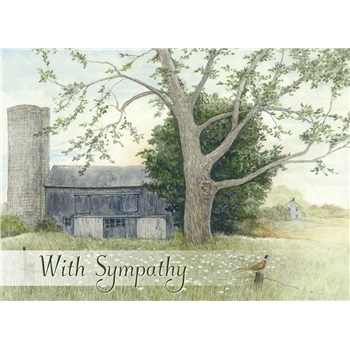 Sympathy GCD21197