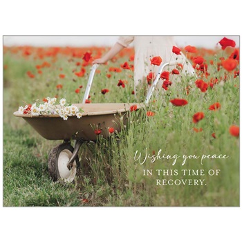 Get Well - Recovery GCD93529