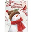 Holiday Cards in a Box HBX97380