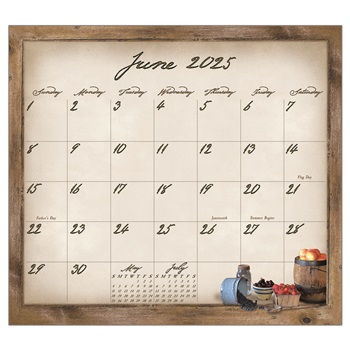 2025 Magnetic Calendar Pad MCP92410