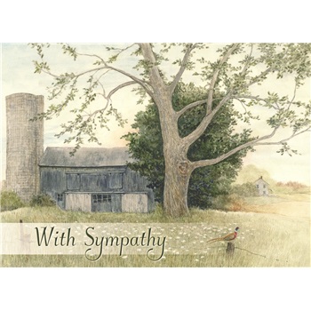 Sympathy SCD42336